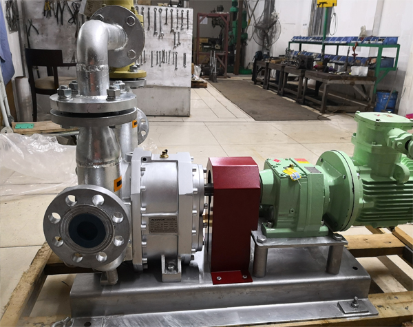 轉(zhuǎn)子泵廠家 轉(zhuǎn)子泵廠家