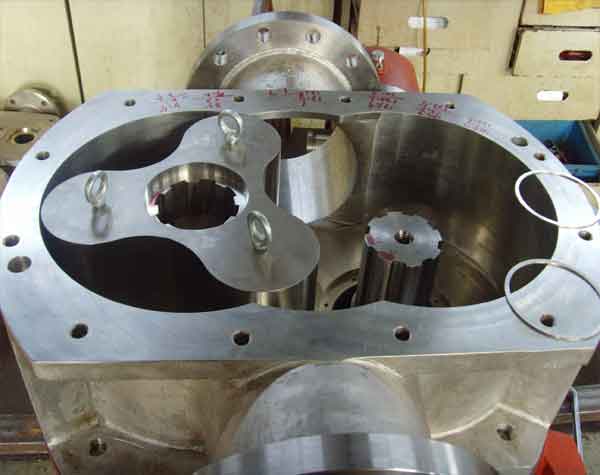 轉(zhuǎn)子泵廠家 轉(zhuǎn)子泵廠家