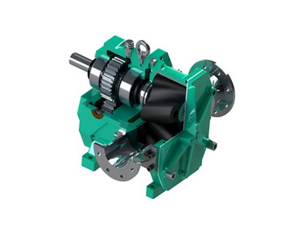 轉(zhuǎn)子泵廠家 轉(zhuǎn)子泵廠家